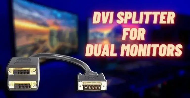 DVI Splitter for Dual Monitors